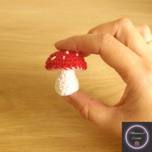Crochet Mini Mushroom Pattern